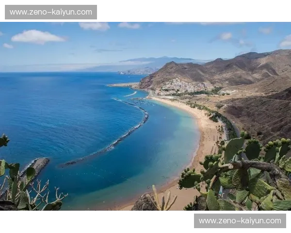 丛林法则与星条荣耀：哥斯达黎加对垒美国的铁血史诗